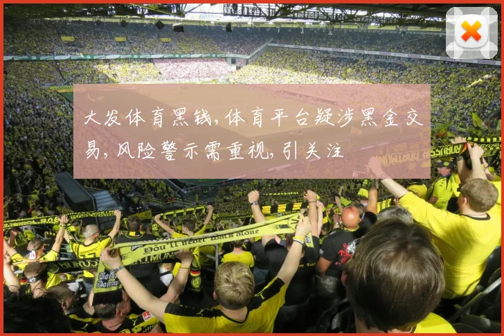 大发体育黑钱,体育平台疑涉黑金交易,风险警示需重视,引关注